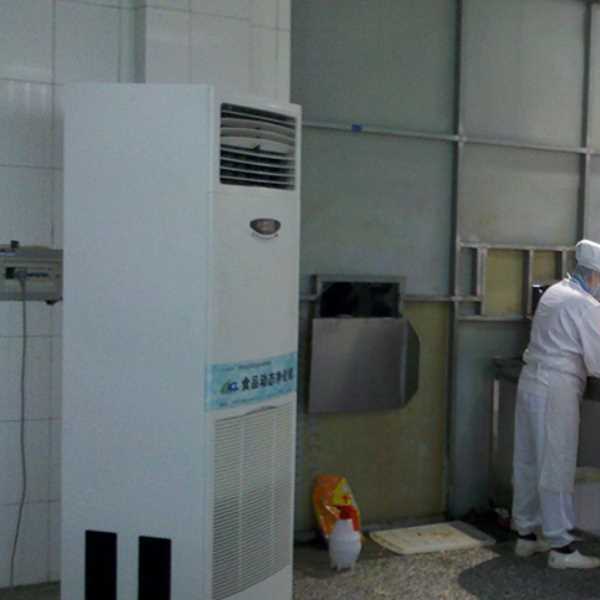 重庆食品正负离子空气杀菌器